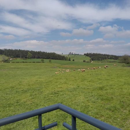 Gite De Fontanes Aubrac Margeride Loups Du Gevaudan Lozere Vila Saint-Sauveur-de-Peyre Exterior foto