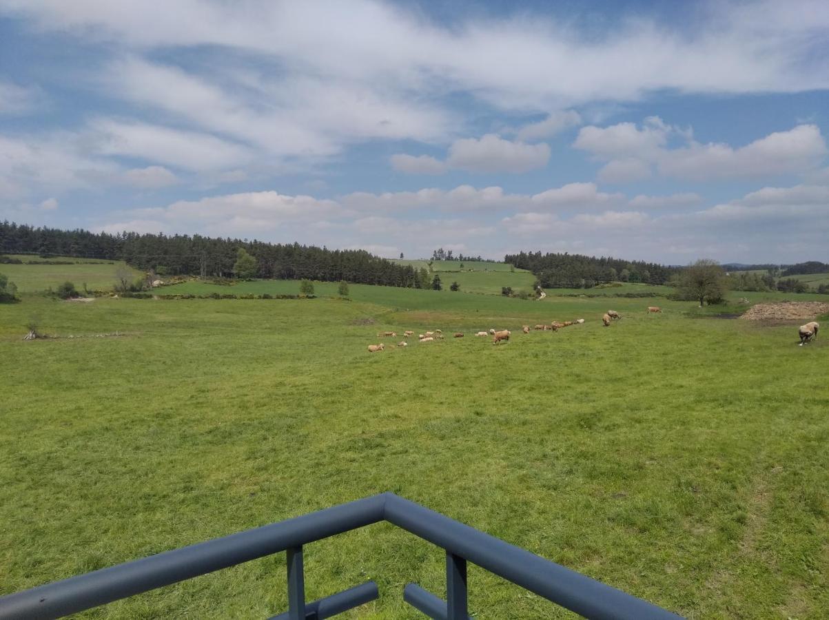 Gite De Fontanes Aubrac Margeride Loups Du Gevaudan Lozere Vila Saint-Sauveur-de-Peyre Exterior foto