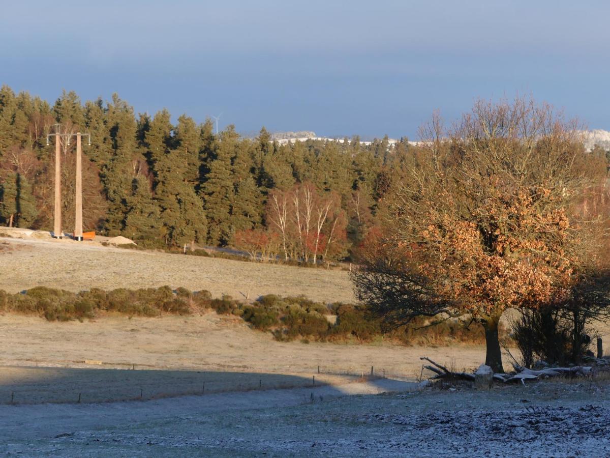 Gite De Fontanes Aubrac Margeride Loups Du Gevaudan Lozere Vila Saint-Sauveur-de-Peyre Exterior foto