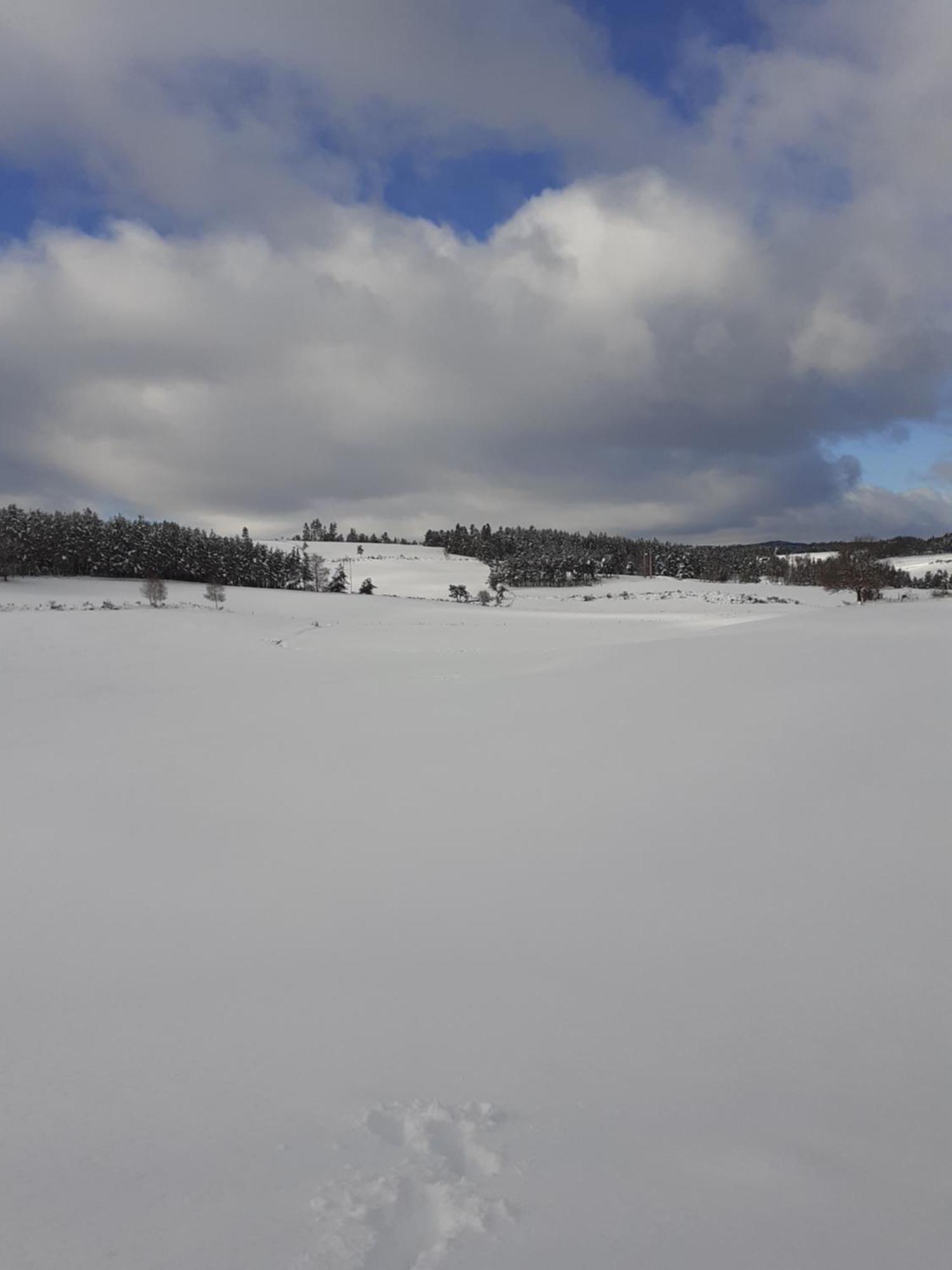 Gite De Fontanes Aubrac Margeride Loups Du Gevaudan Lozere Vila Saint-Sauveur-de-Peyre Quarto foto